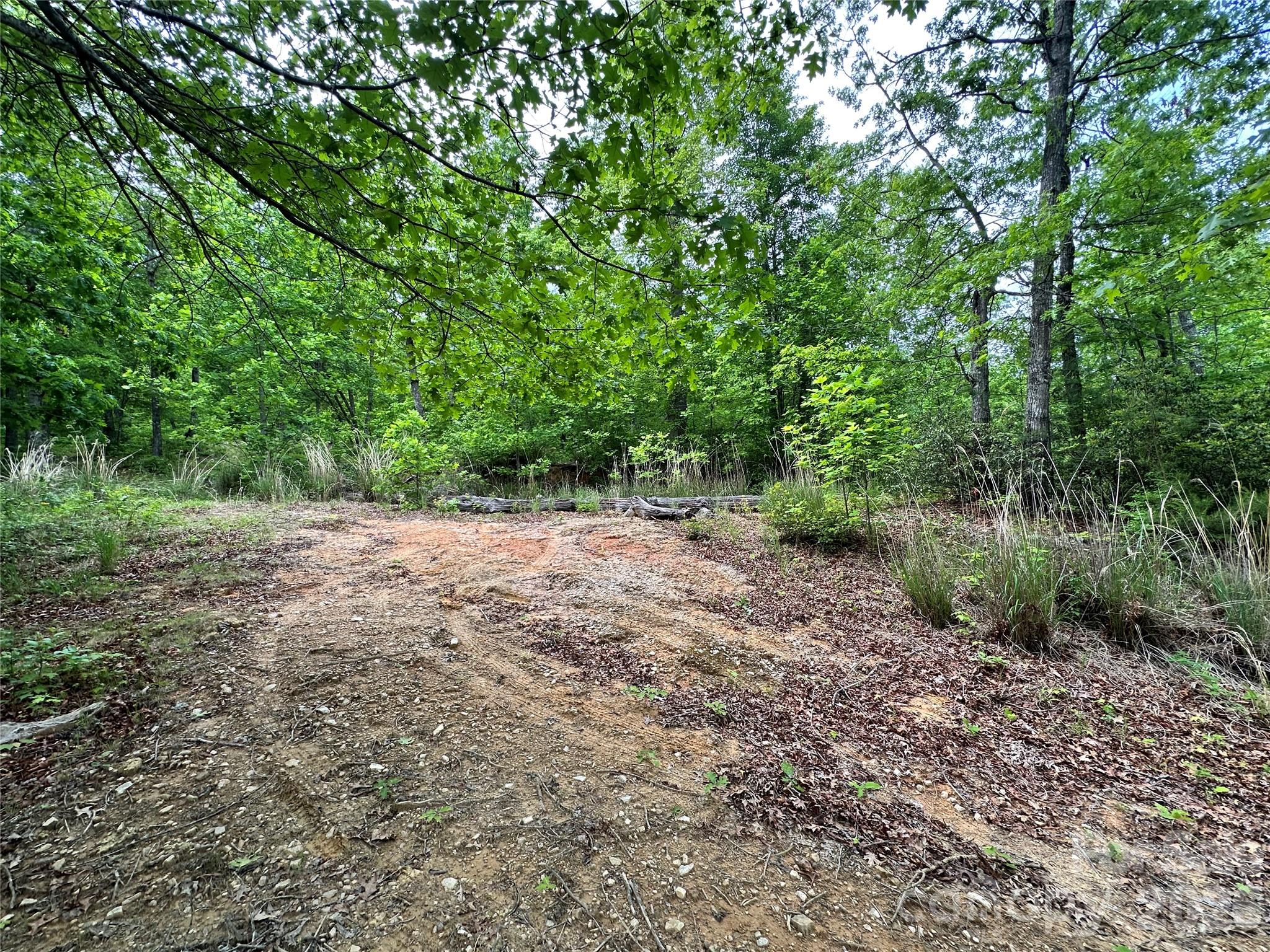 99999 Bird Creek Estates Road Black Mountain NC 28711