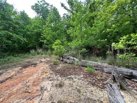 99999 Bird Creek Estates Road Black Mountain NC 28711