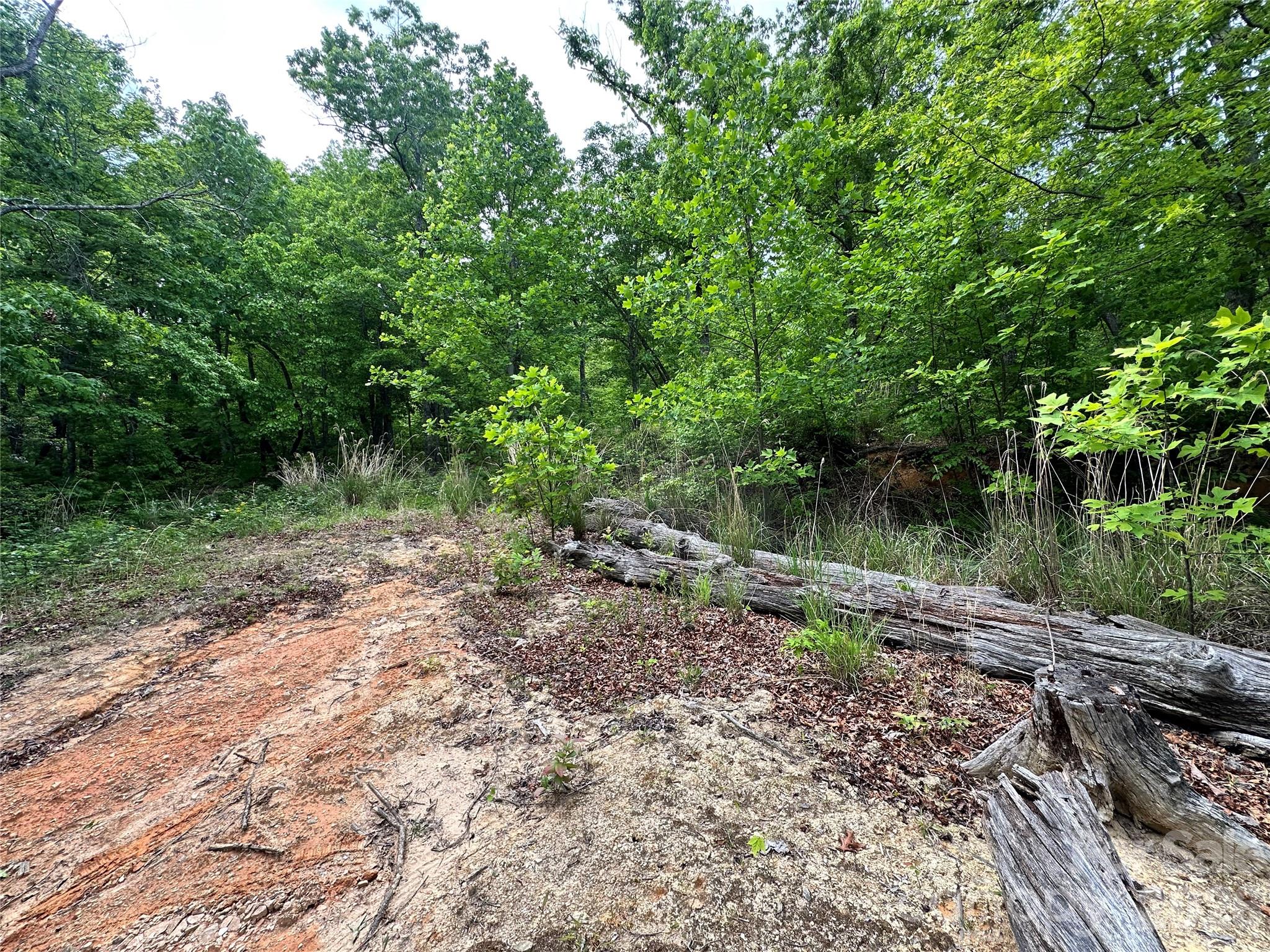 99999 Bird Creek Estates Road Black Mountain NC 28711