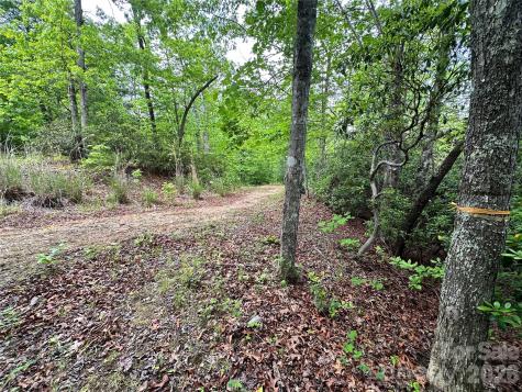 99999 Bird Creek Estates Road Black Mountain NC 28711