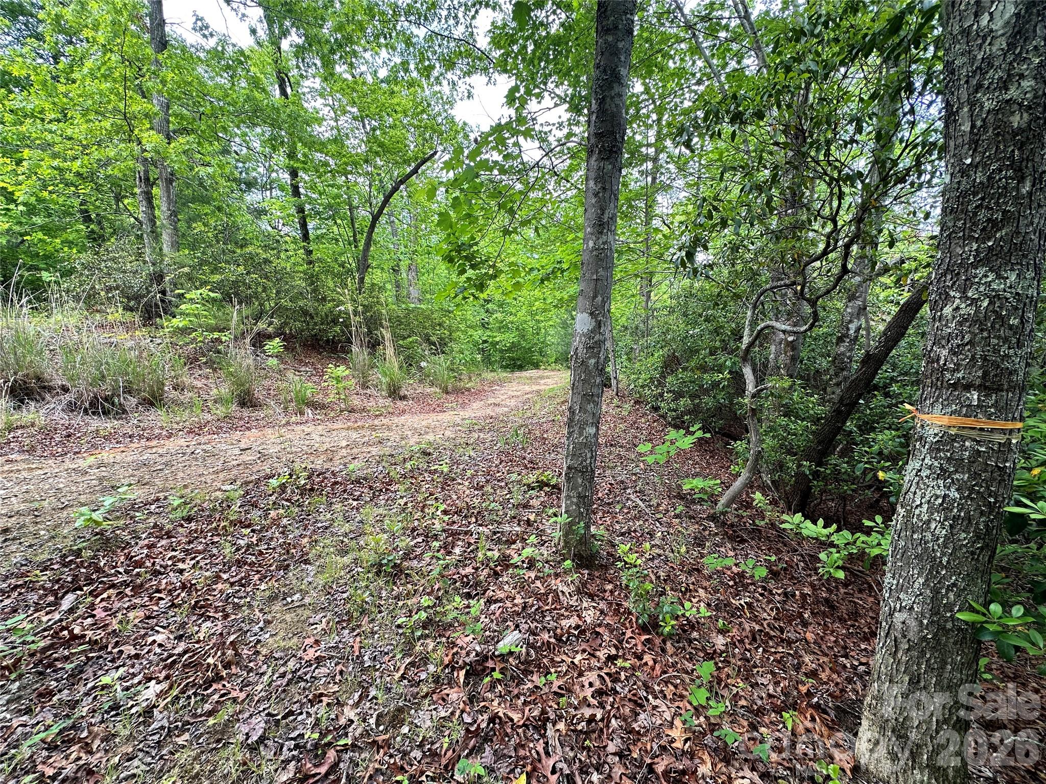 99999 Bird Creek Estates Road Black Mountain NC 28711