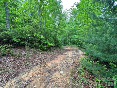 99999 Bird Creek Estates Road Black Mountain NC 28711