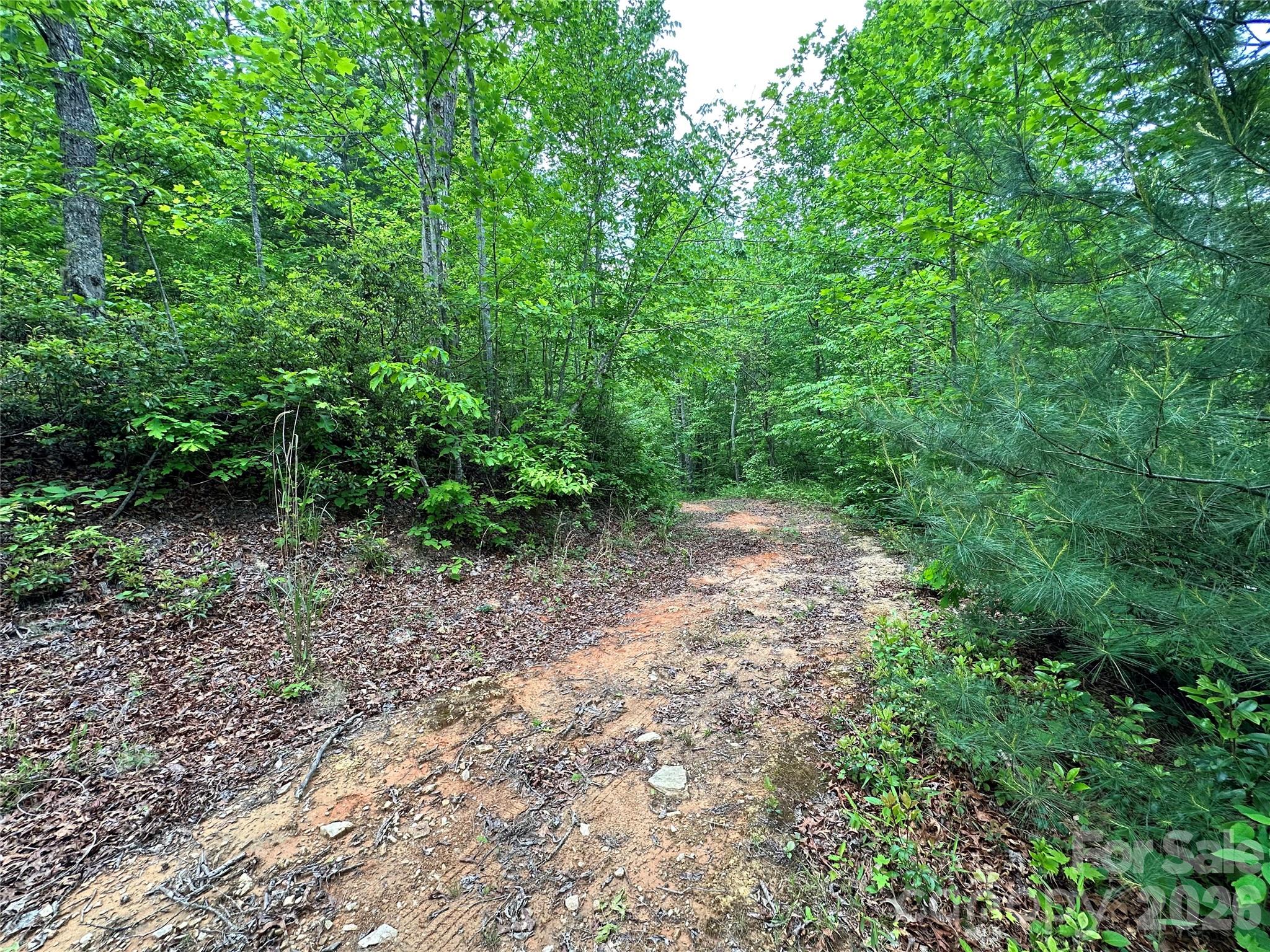 99999 Bird Creek Estates Road Black Mountain NC 28711
