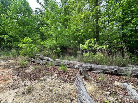 99999 Bird Creek Estates Road Black Mountain NC 28711
