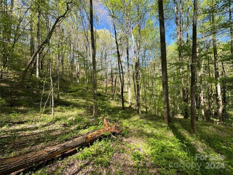 0 East Silvermine Road Bryson City NC 28713