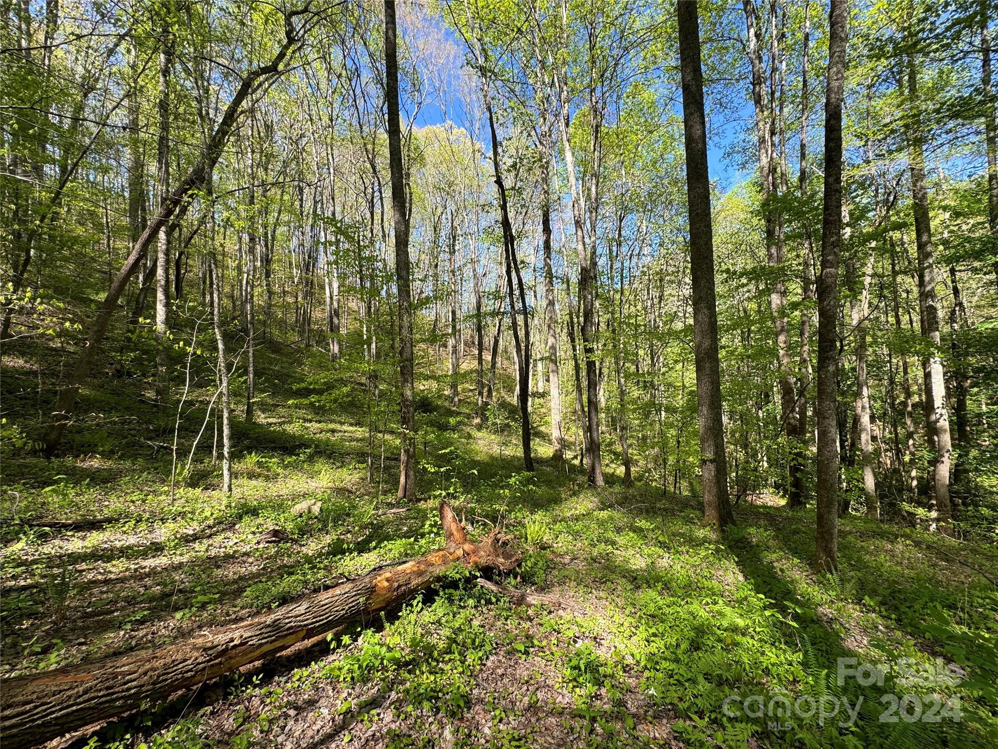 0 East Silvermine Road Bryson City NC 28713