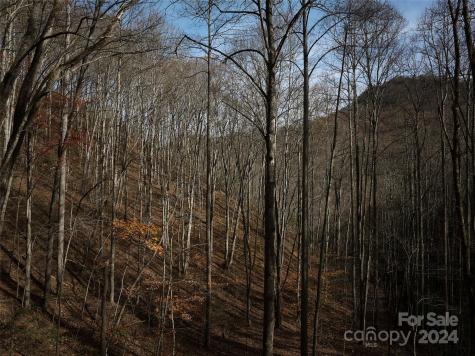 0 East Silvermine Road Bryson City NC 28713