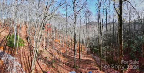0 East Silvermine Road Bryson City NC 28713