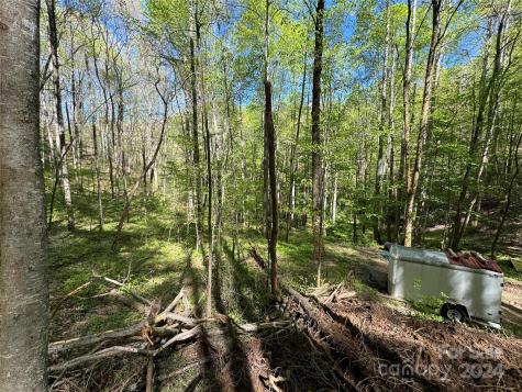 0 East Silvermine Road Bryson City NC 28713