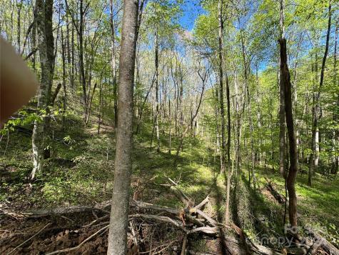 0 East Silvermine Road Bryson City NC 28713