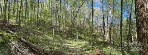 0 East Silvermine Road Bryson City NC 28713
