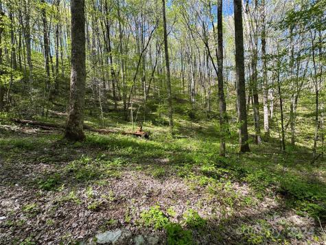 0 East Silvermine Road Bryson City NC 28713