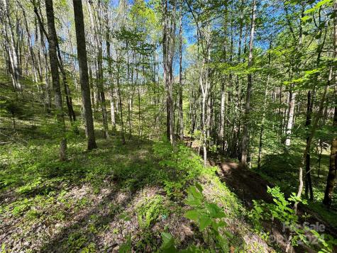 0 East Silvermine Road Bryson City NC 28713