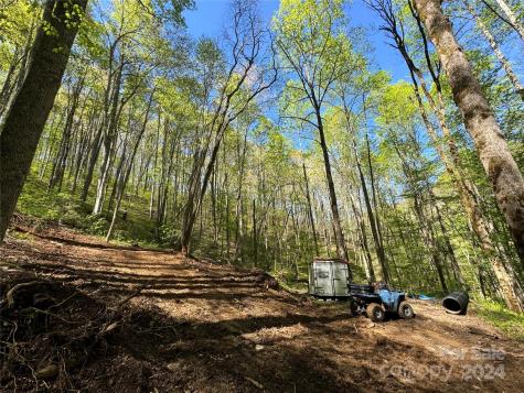 0 East Silvermine Road Bryson City NC 28713