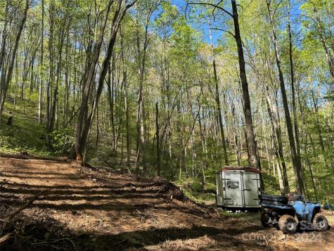 0 East Silvermine Road Bryson City NC 28713