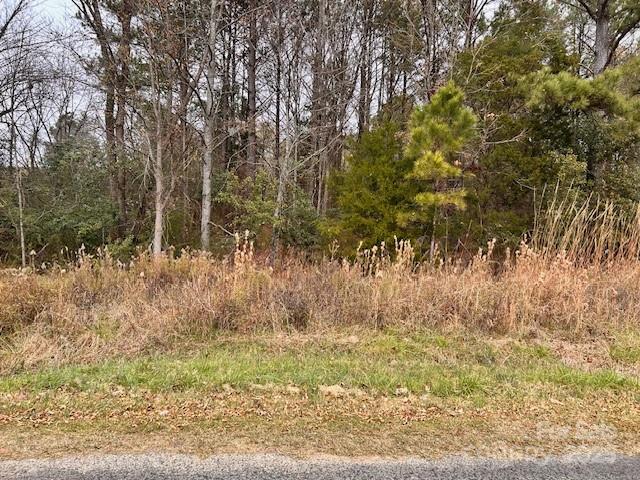 000 Ray Lee Street Norwood NC 28128
