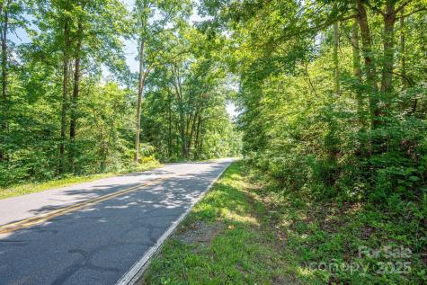 Lot 1 Cleghorn Mill Road Rutherfordton NC 28139