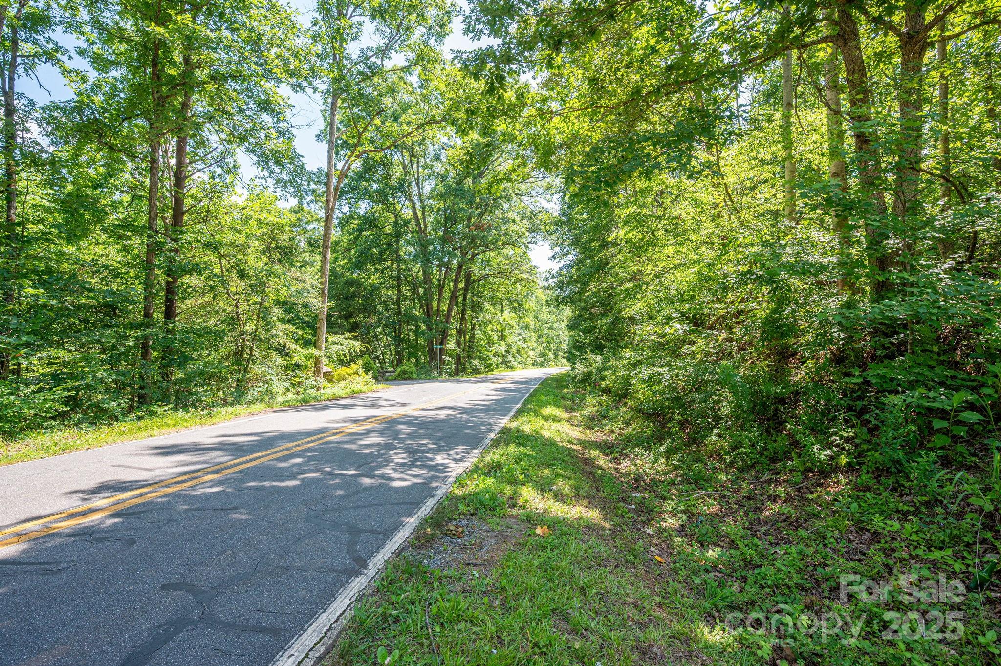 Lot 1 Cleghorn Mill Road Rutherfordton NC 28139