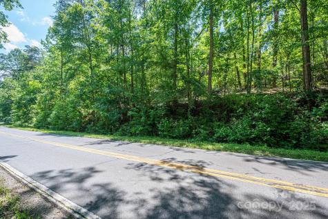 Lot 1 Cleghorn Mill Road Rutherfordton NC 28139