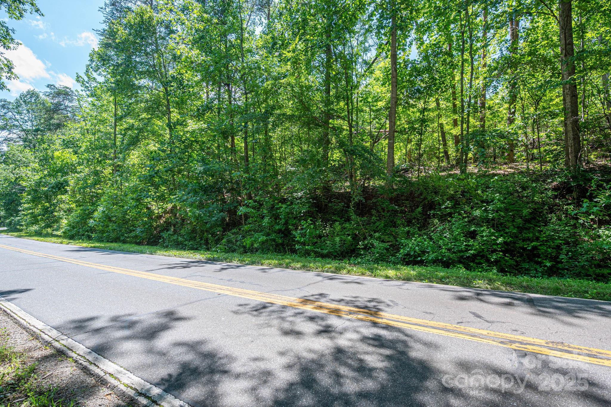 Lot 1 Cleghorn Mill Road Rutherfordton NC 28139