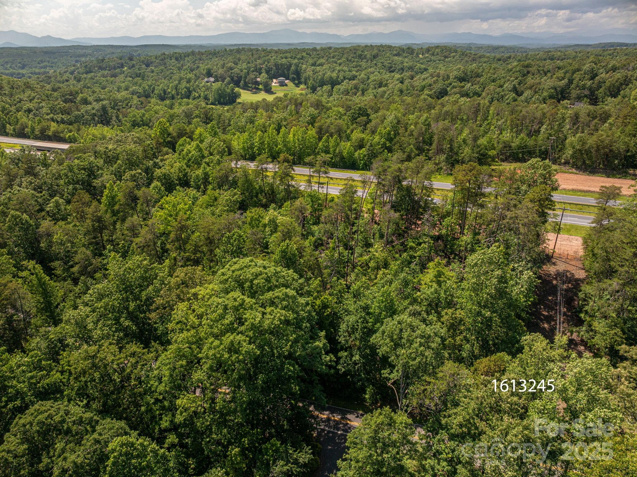 Lot 1 Cleghorn Mill Road Rutherfordton NC 28139