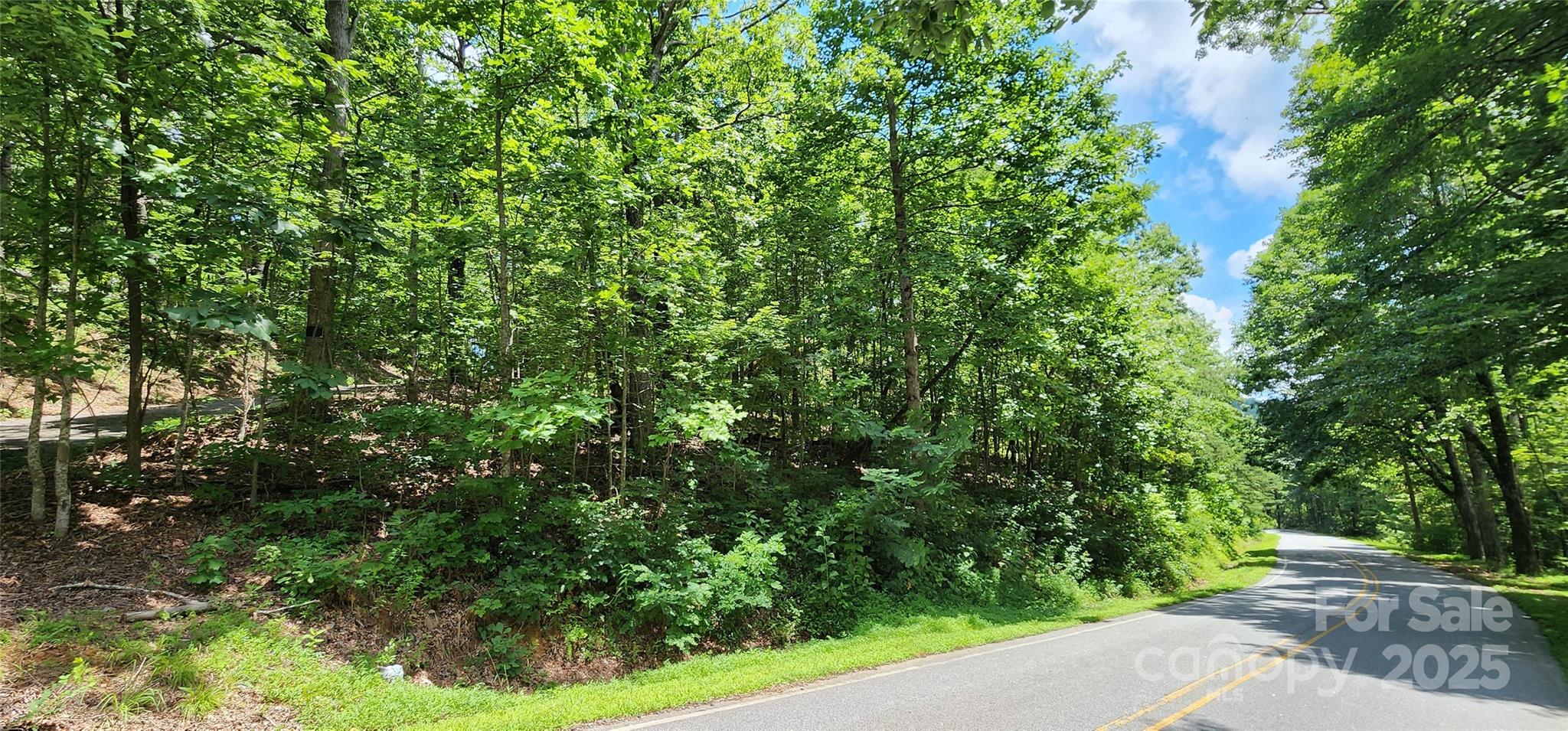 5 Lots White Oak Mountain Road Columbus NC 28722
