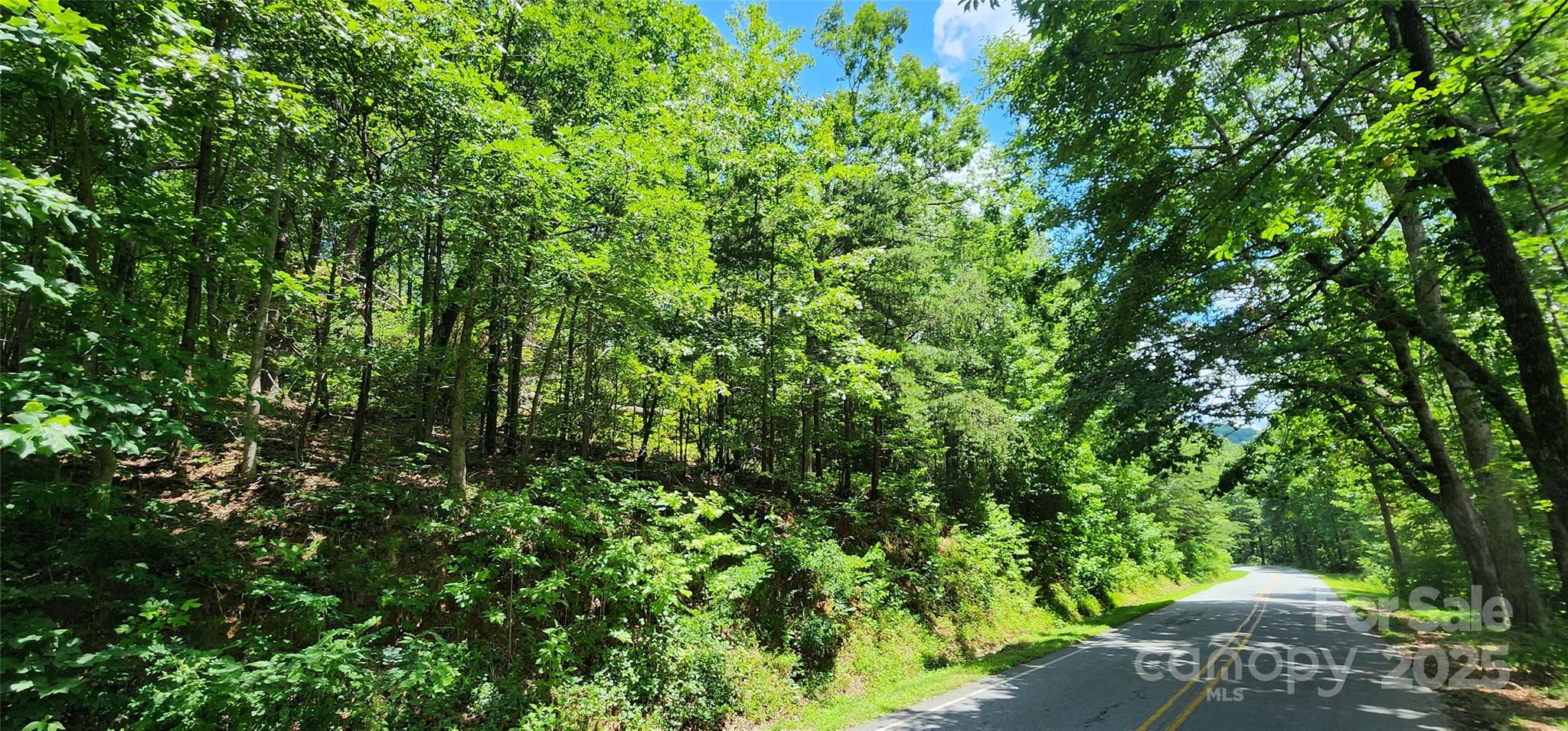 5 Lots White Oak Mountain Road Columbus NC 28722