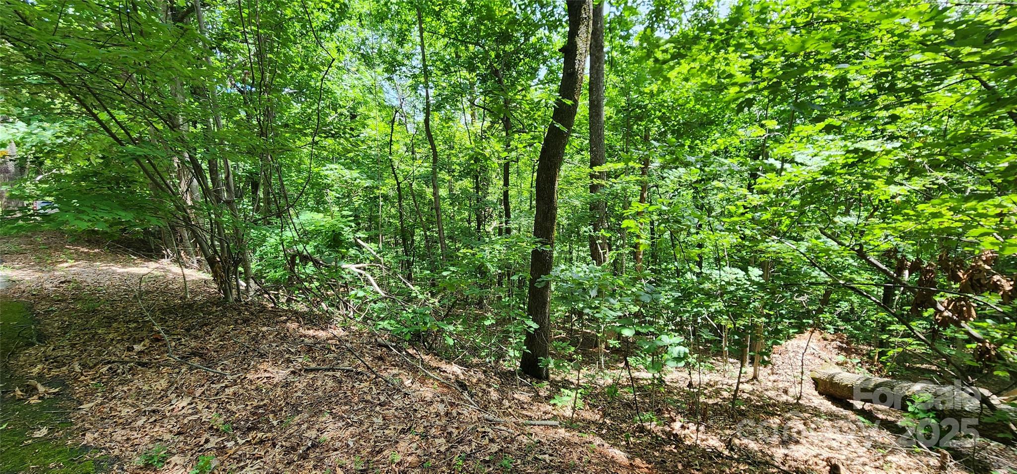 5 Lots White Oak Mountain Road Columbus NC 28722
