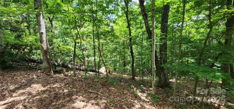 5 Lots White Oak Mountain Road Columbus NC 28722