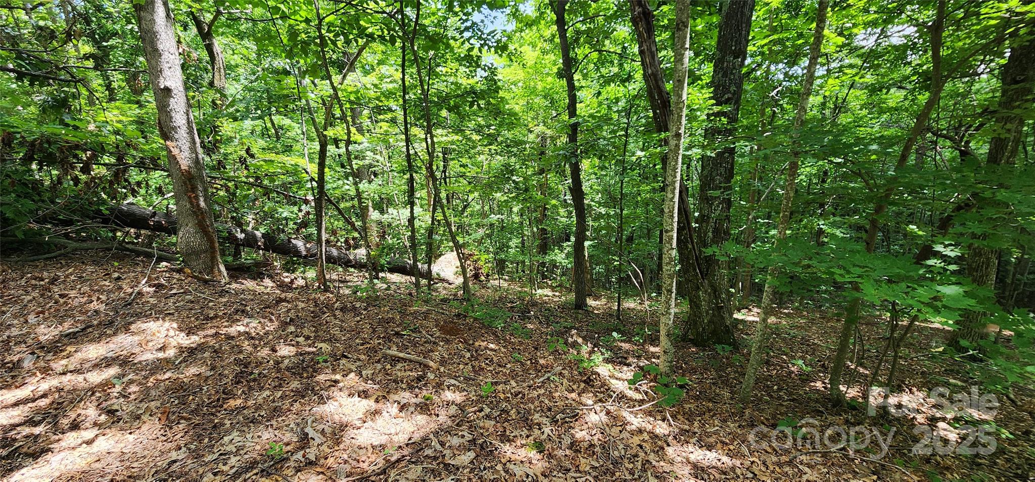 5 Lots White Oak Mountain Road Columbus NC 28722