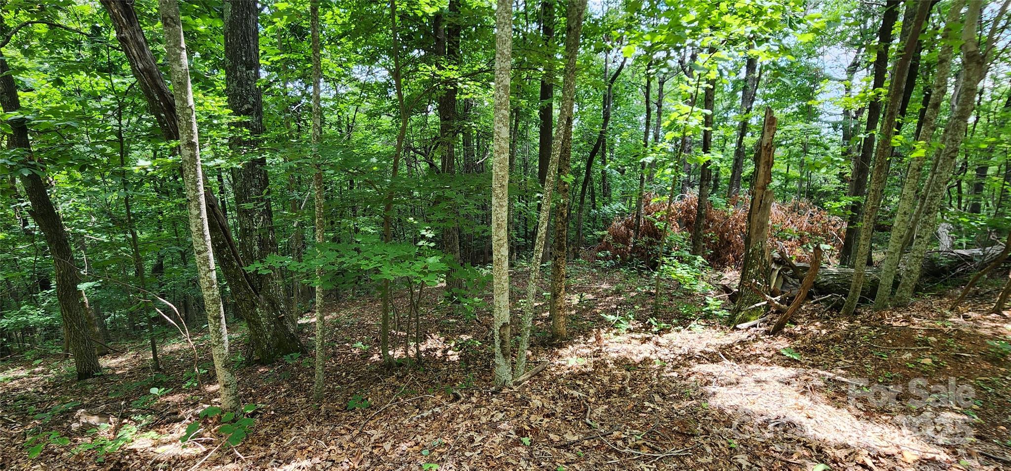 5 Lots White Oak Mountain Road Columbus NC 28722