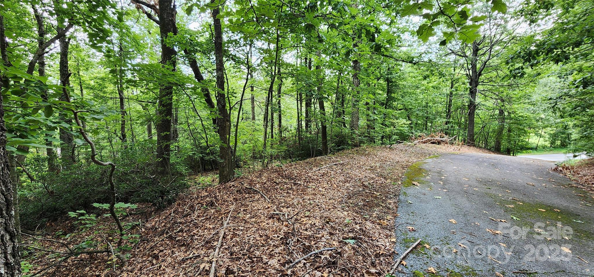 5 Lots White Oak Mountain Road Columbus NC 28722