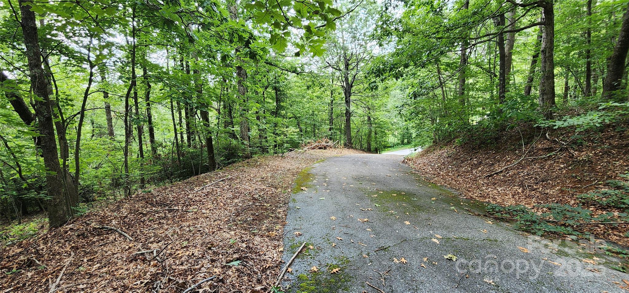 5 Lots White Oak Mountain Road Columbus NC 28722