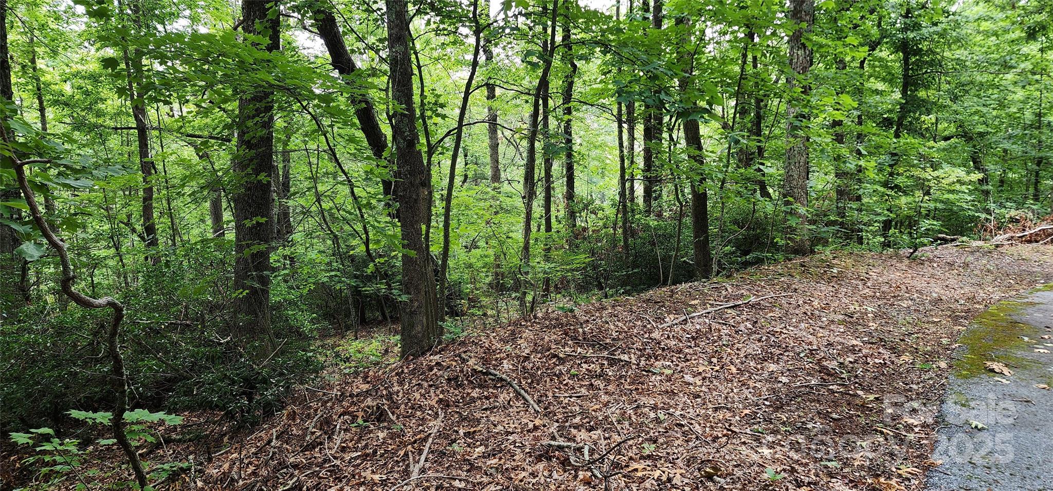 5 Lots White Oak Mountain Road Columbus NC 28722