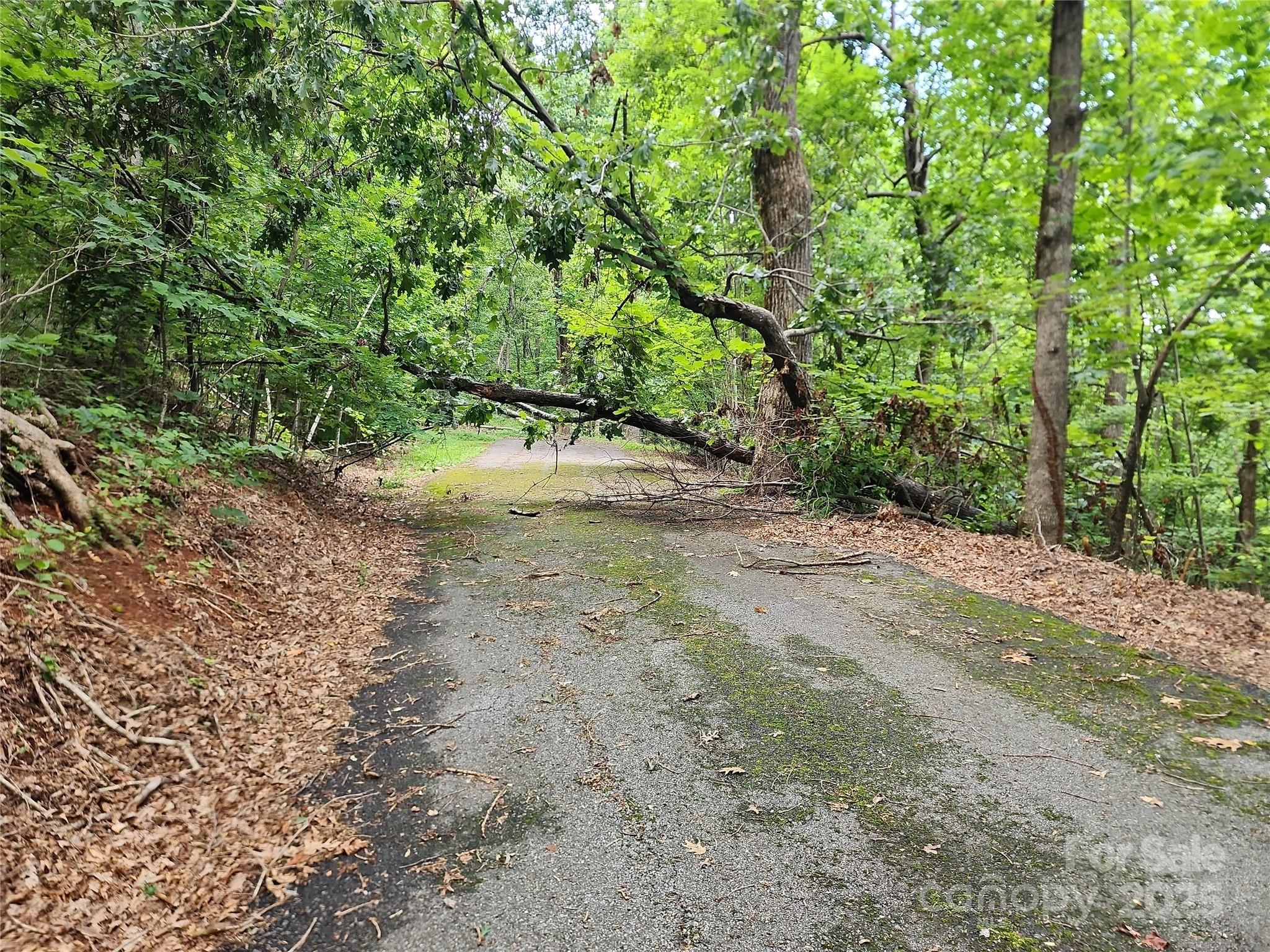 5 Lots White Oak Mountain Road Columbus NC 28722