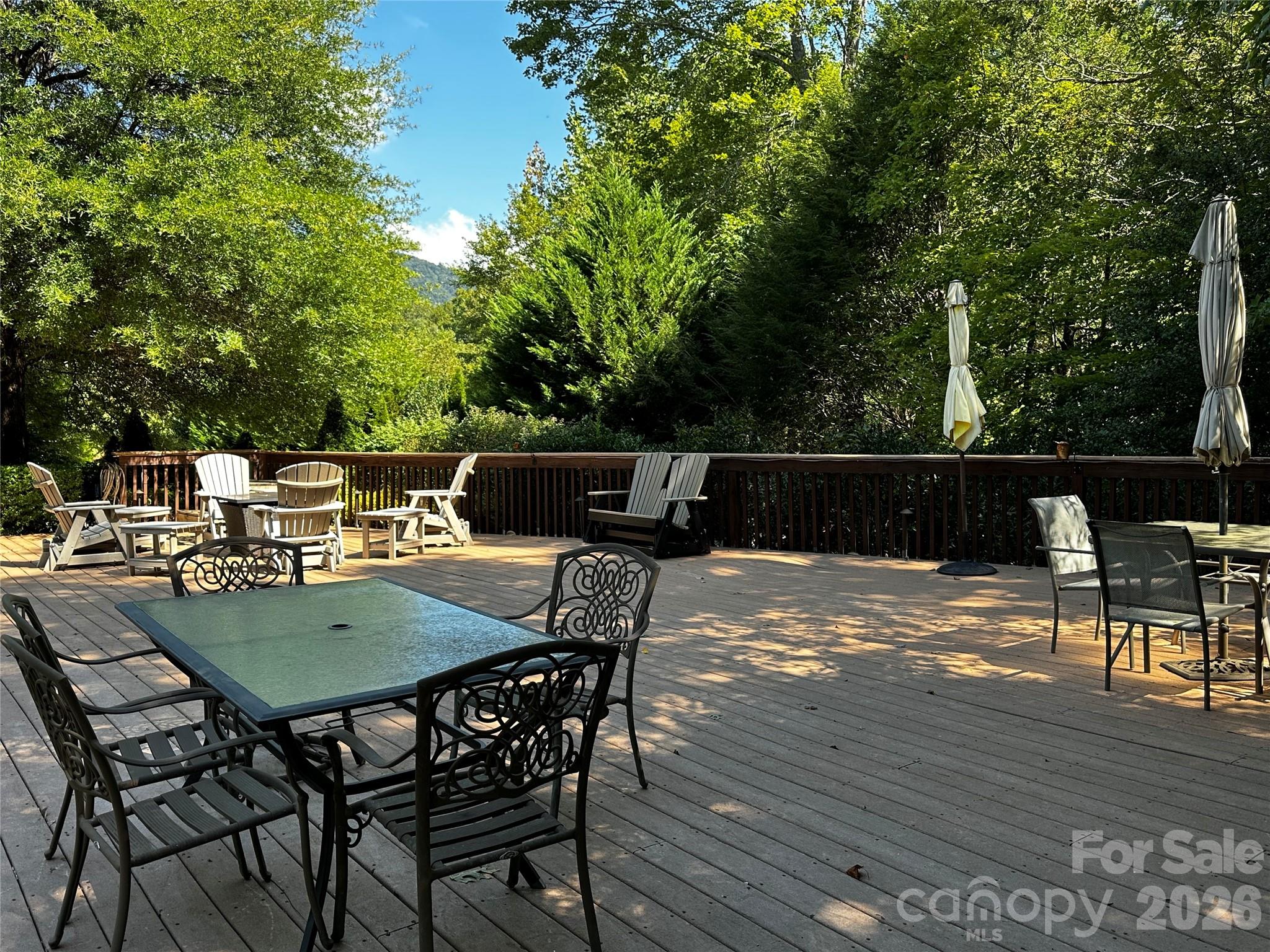 133 Cornell Circle Lake Lure NC 28746