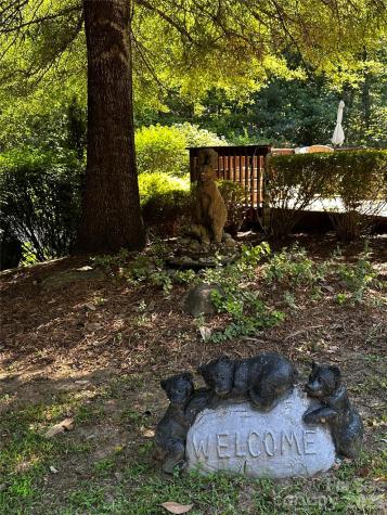 133 Cornell Circle Lake Lure NC 28746