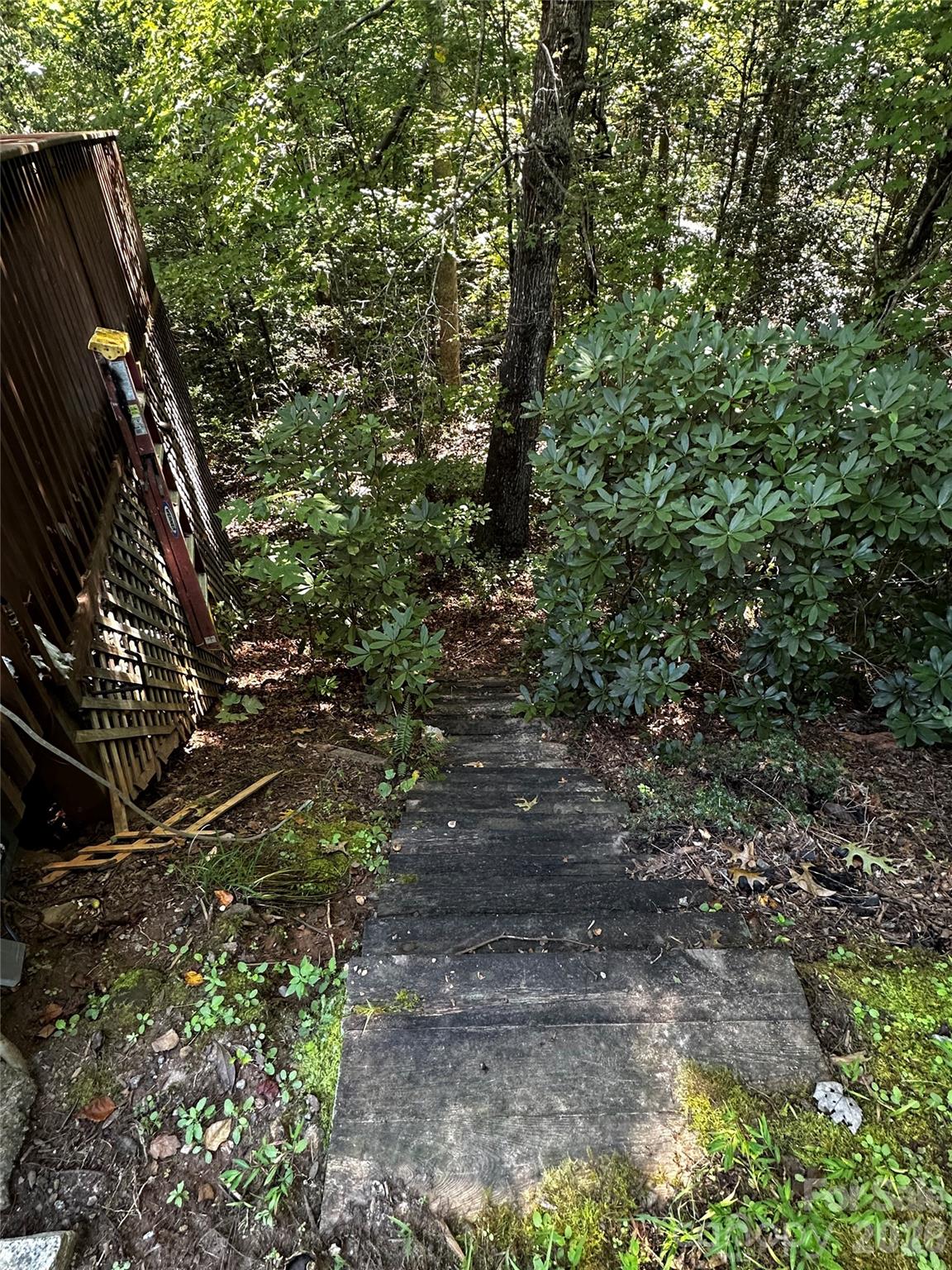 133 Cornell Circle Lake Lure NC 28746