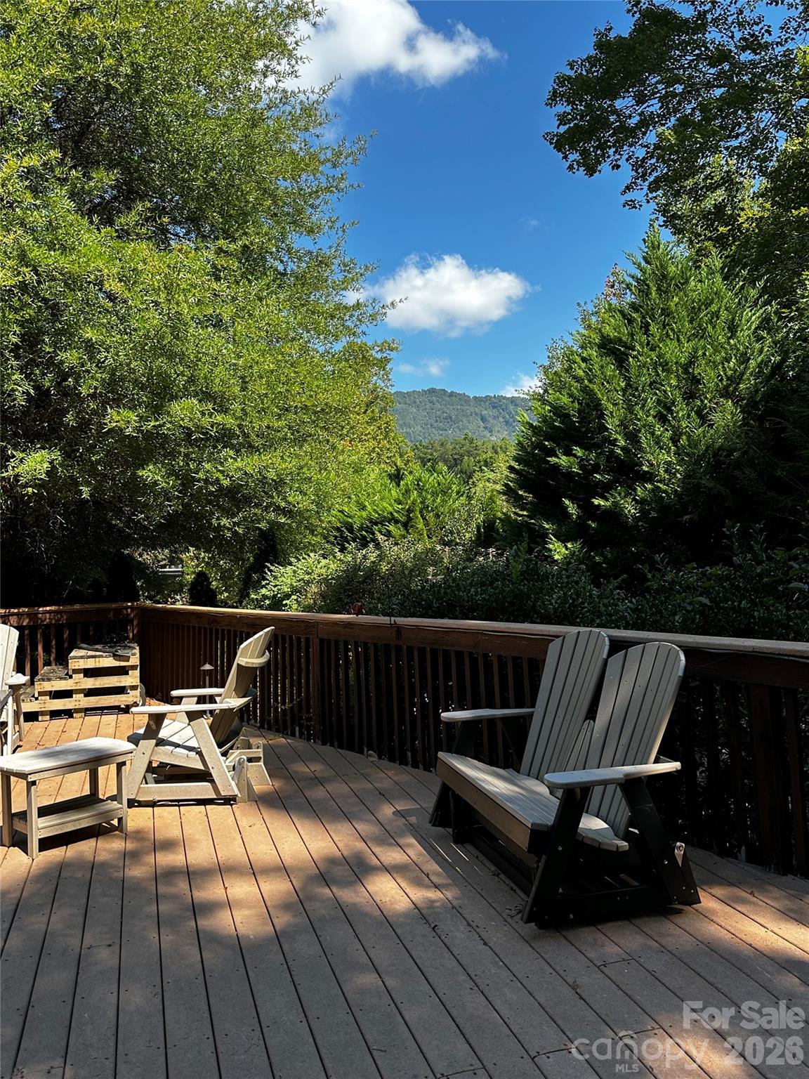 133 Cornell Circle Lake Lure NC 28746