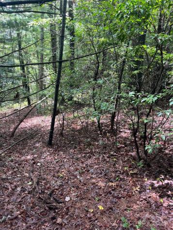 Tbd Normcol Road Pisgah Forest NC 28768