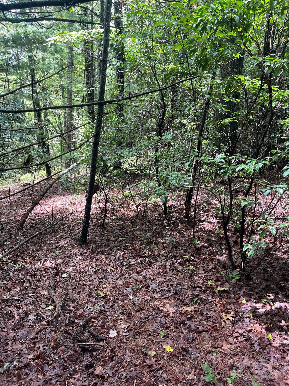 Tbd Normcol Road Pisgah Forest NC 28768