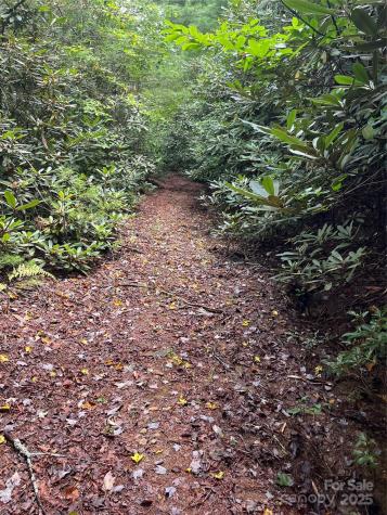 Tbd Normcol Road Pisgah Forest NC 28768