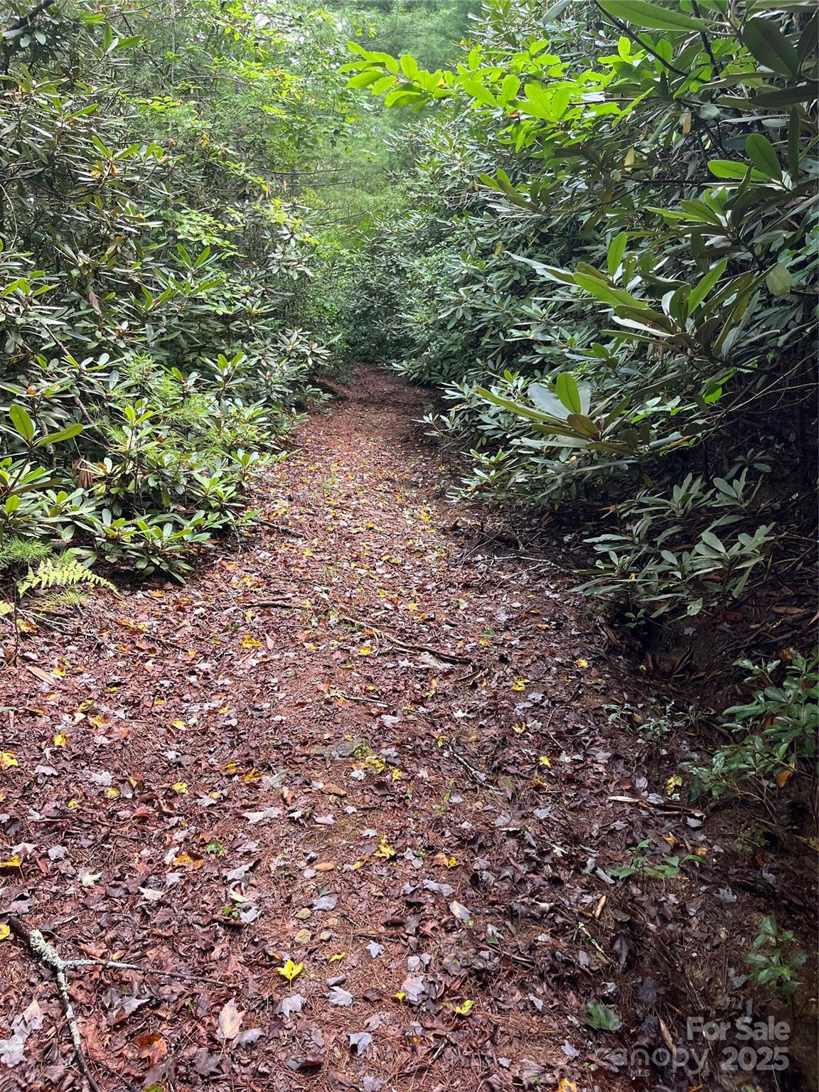 Tbd Normcol Road Pisgah Forest NC 28768
