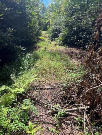 Tbd Normcol Road Pisgah Forest NC 28768