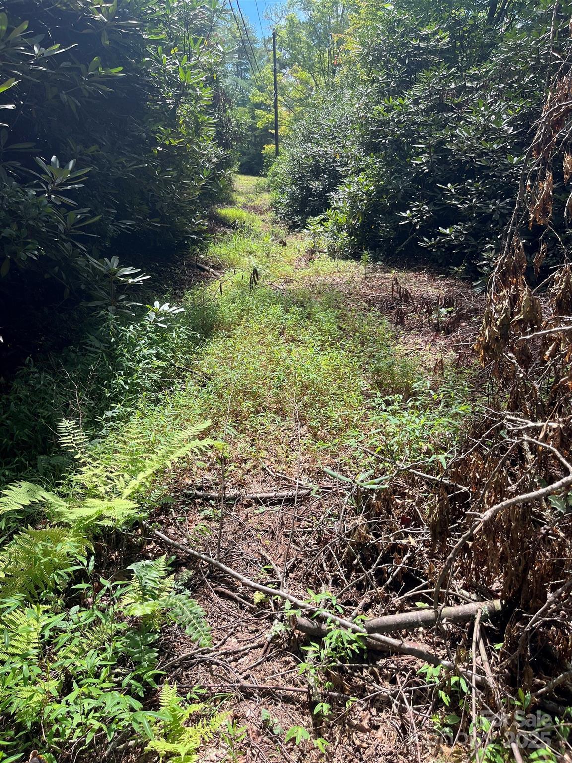 Tbd Normcol Road Pisgah Forest NC 28768