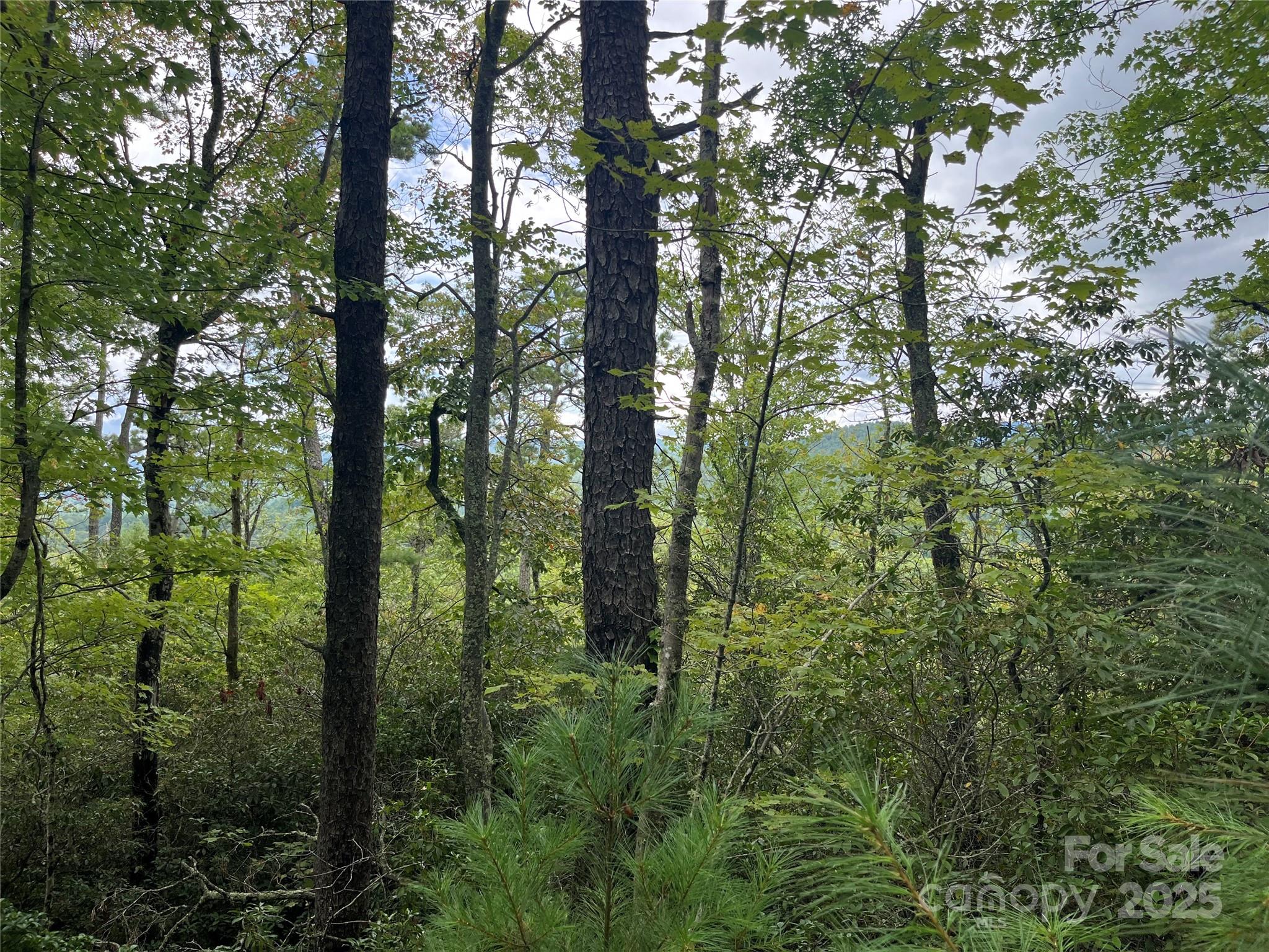 Tbd Normcol Road Pisgah Forest NC 28768