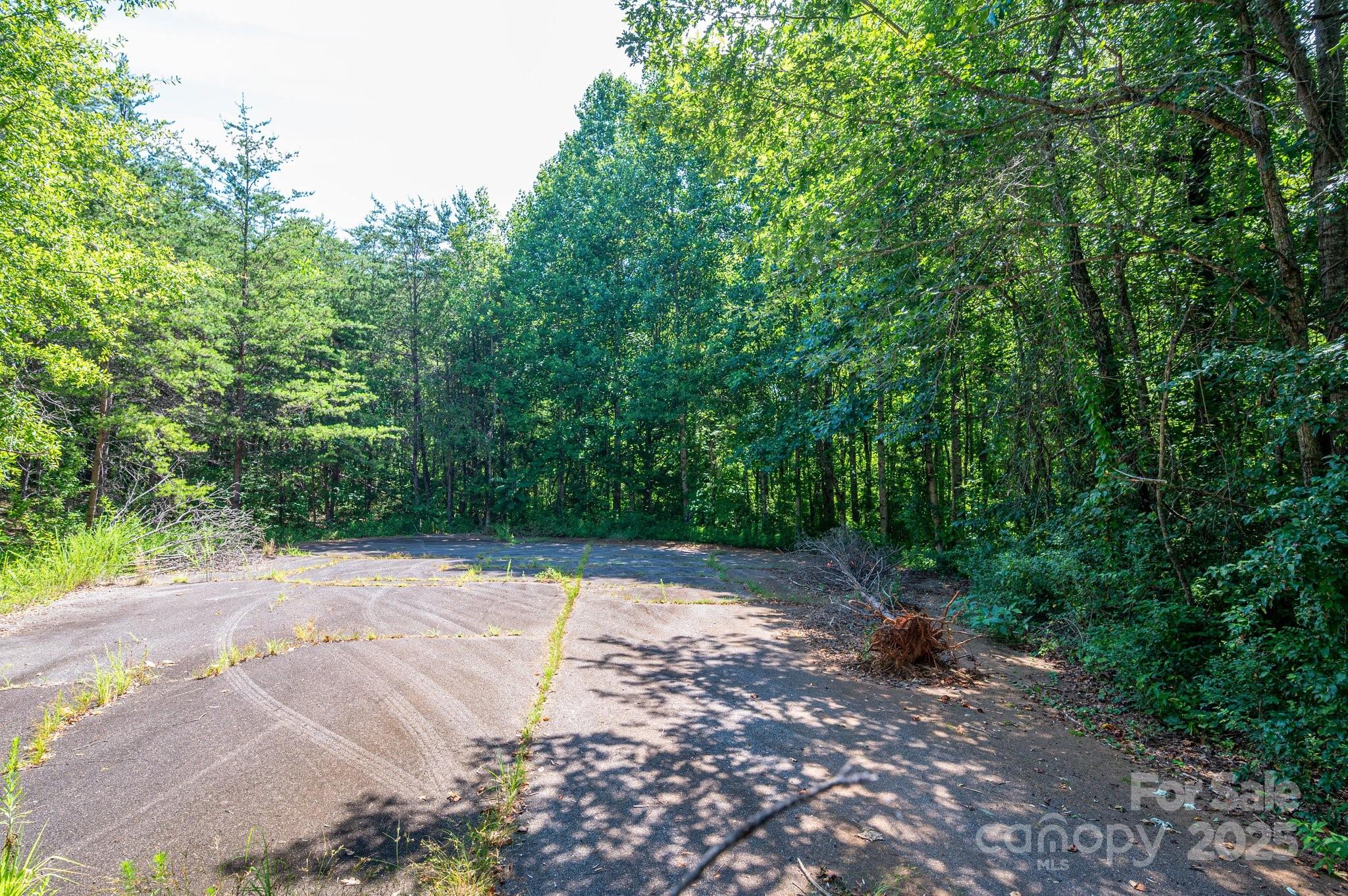 Lot #17 Meadow Crossing Drive Rutherfordton NC 28139