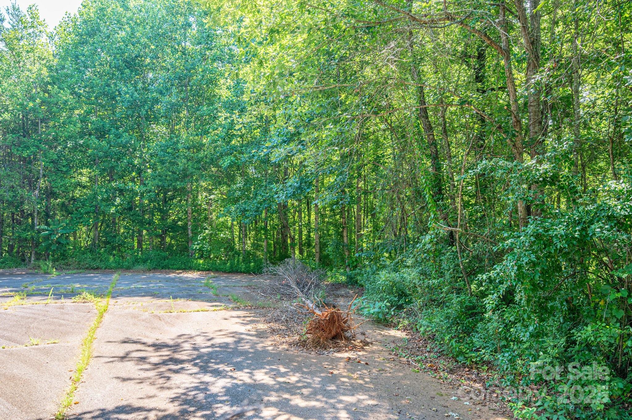 Lot #17 Meadow Crossing Drive Rutherfordton NC 28139