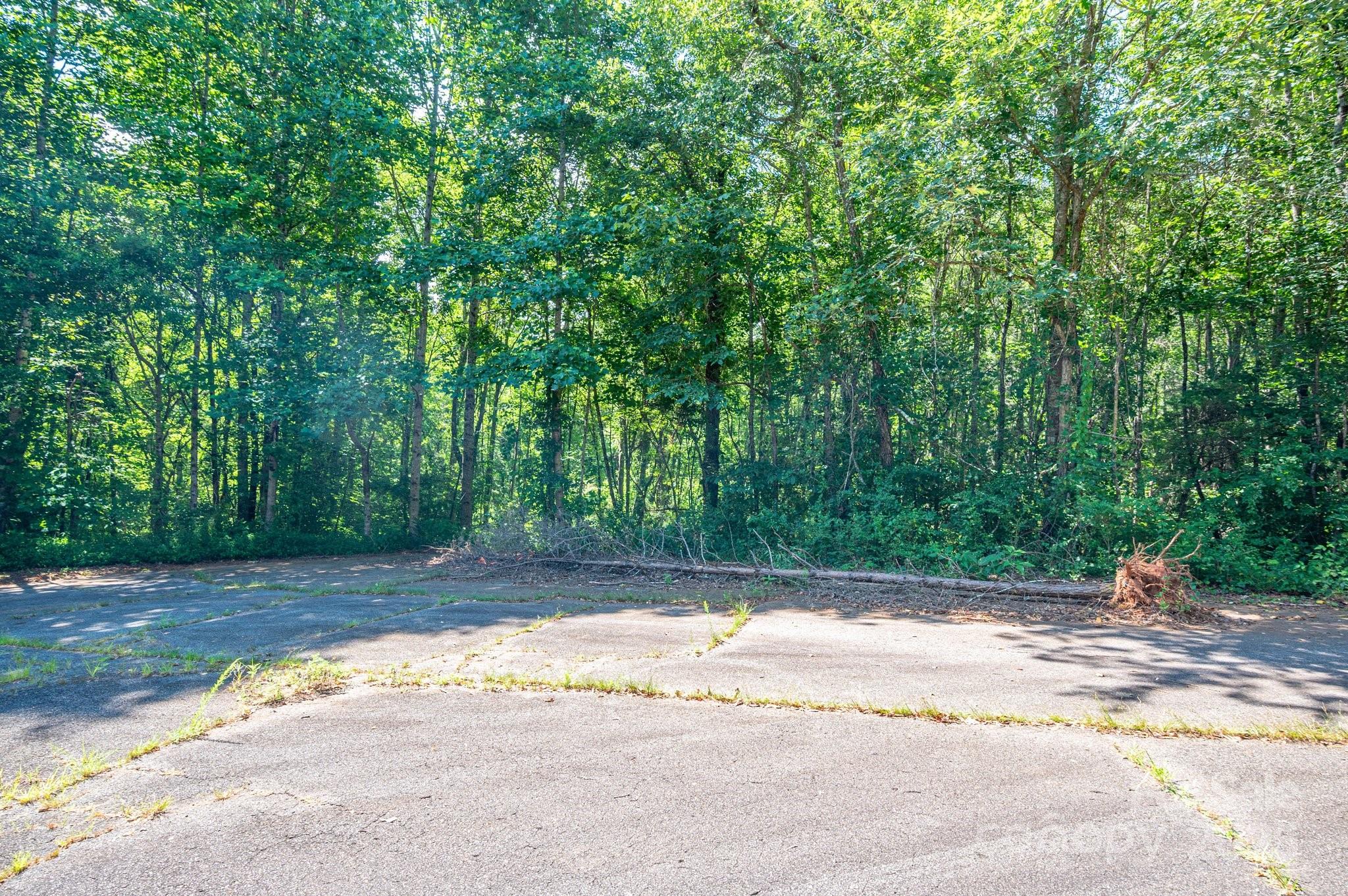 Lot #17 Meadow Crossing Drive Rutherfordton NC 28139