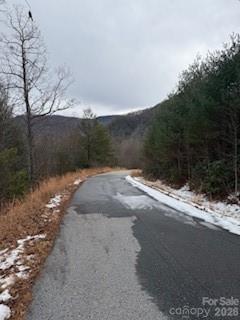 0000 Silverglen Way Hendersonville NC 28792